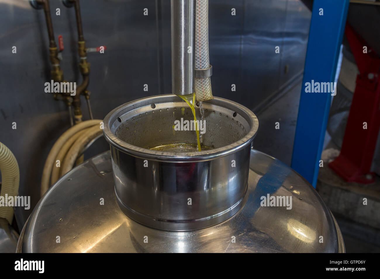 Olio d'oliva, versando dal frantoio frantoio, Round Pond Estate Frantoio Rutherford, Napa Valley, California Foto Stock