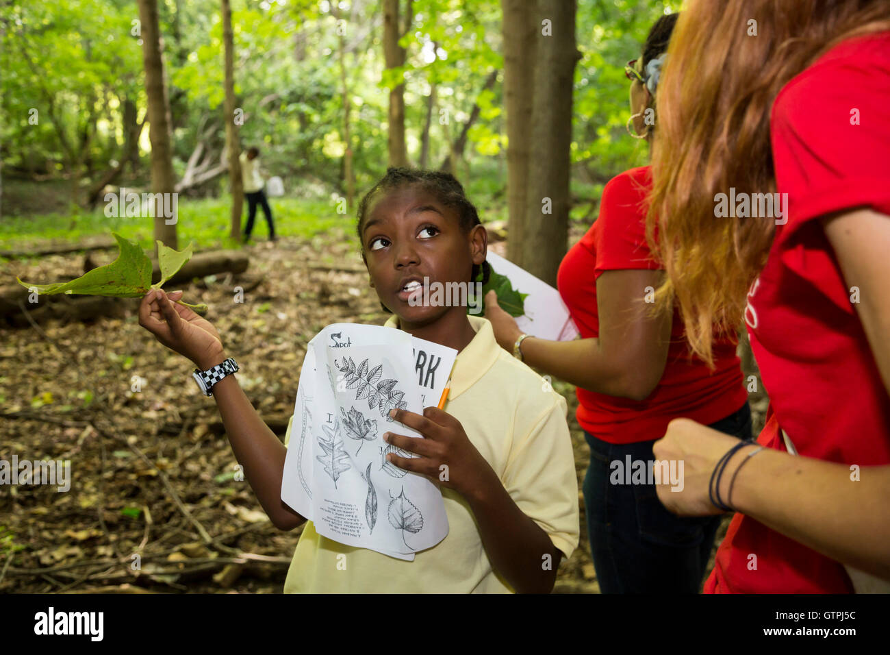 Detroit, Michigan - quinta elementare gli studenti di Dixon scuola elementare, escursione sul ponte di pietra Sentiero Natura Rouge Park. Foto Stock