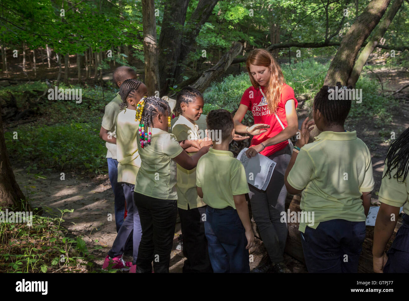 Detroit, Michigan - quinta elementare gli studenti di Dixon scuola elementare di esaminare un Daddy Longlegs durante le escursioni su un sentiero natura. Foto Stock