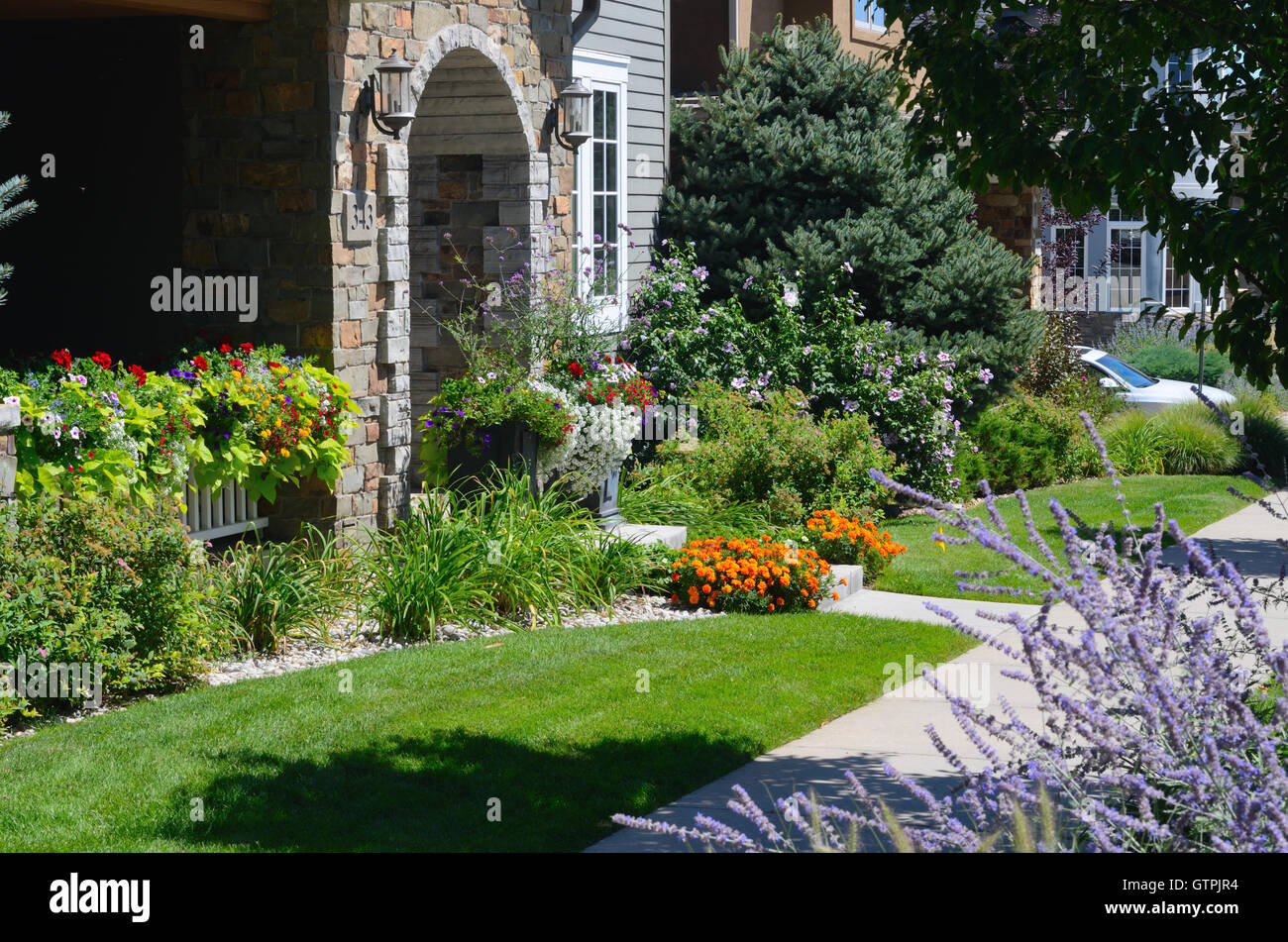 Colorato Giardino del Dakota Ridge quartiere, Boulder, CO Foto Stock