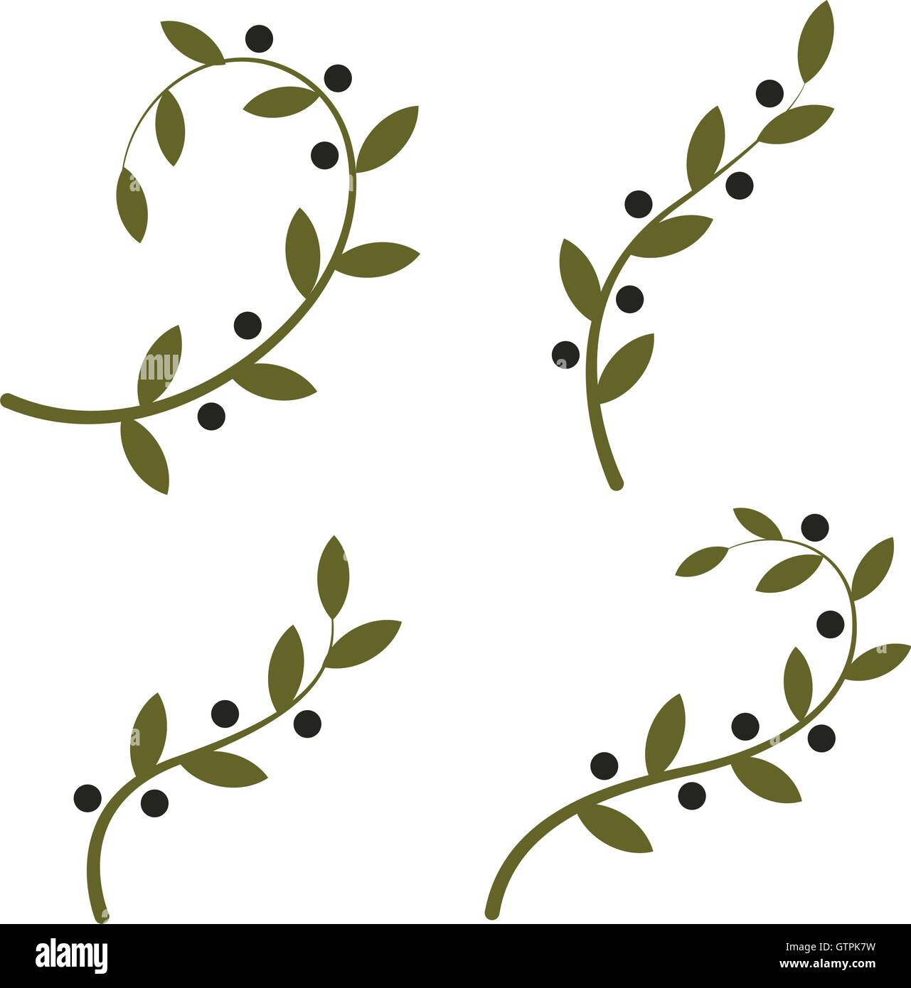 Isolato olive branch logo vettoriale set. Loghi olio raccolta. Giornata della pace. Illustrazione Vettoriale