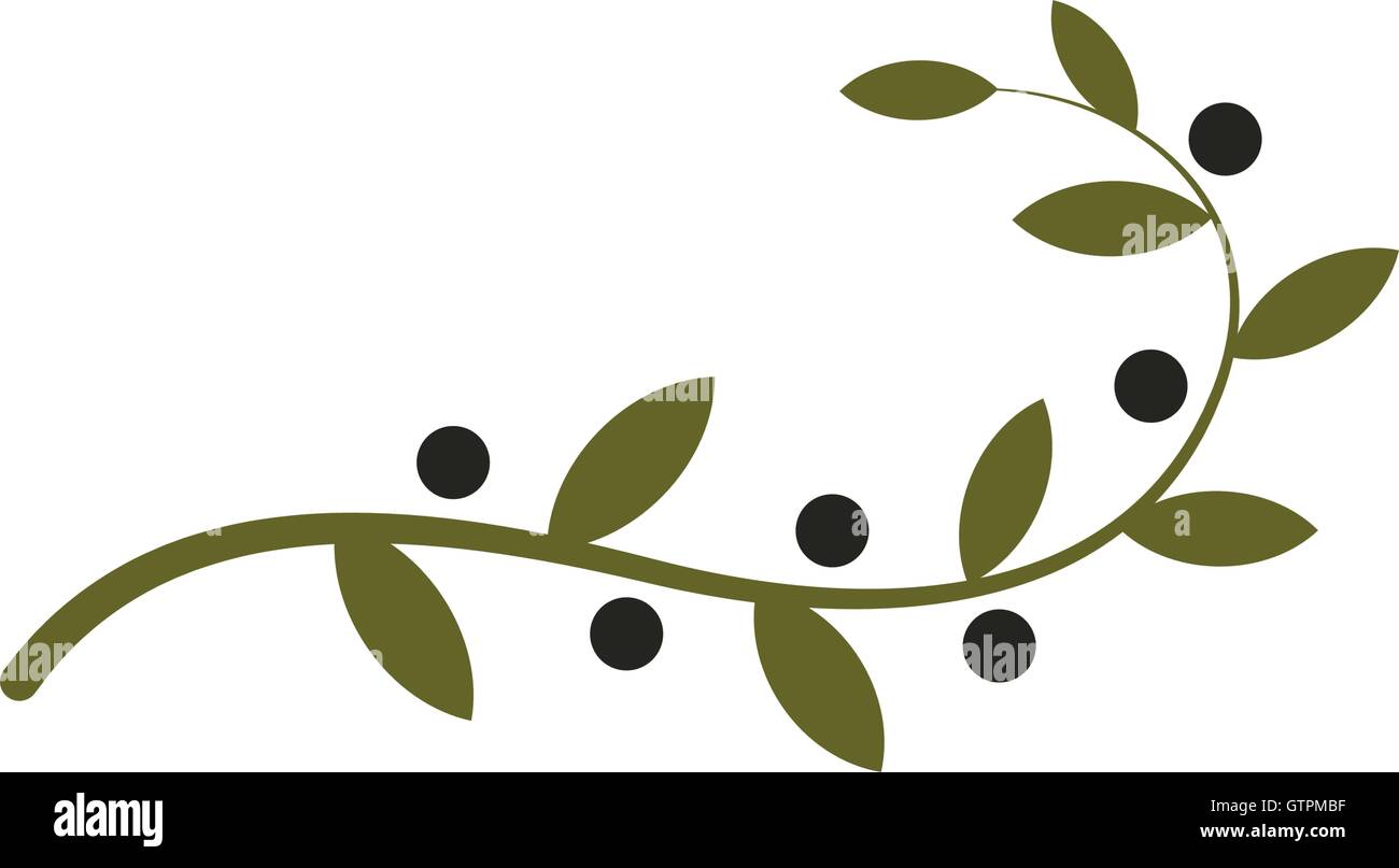 Isolato olive branch vector logo. Logotipo dell'olio. Naturale prodotti sani e la relativa icona. Illustrazione Vettoriale