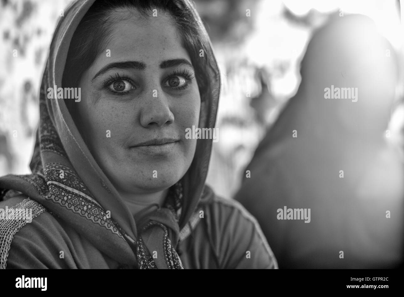 Un nomade Qashqai famiglia abita in una tenda a far Provincia, Iran. Figlia Azar, 23 anni. Foto Stock