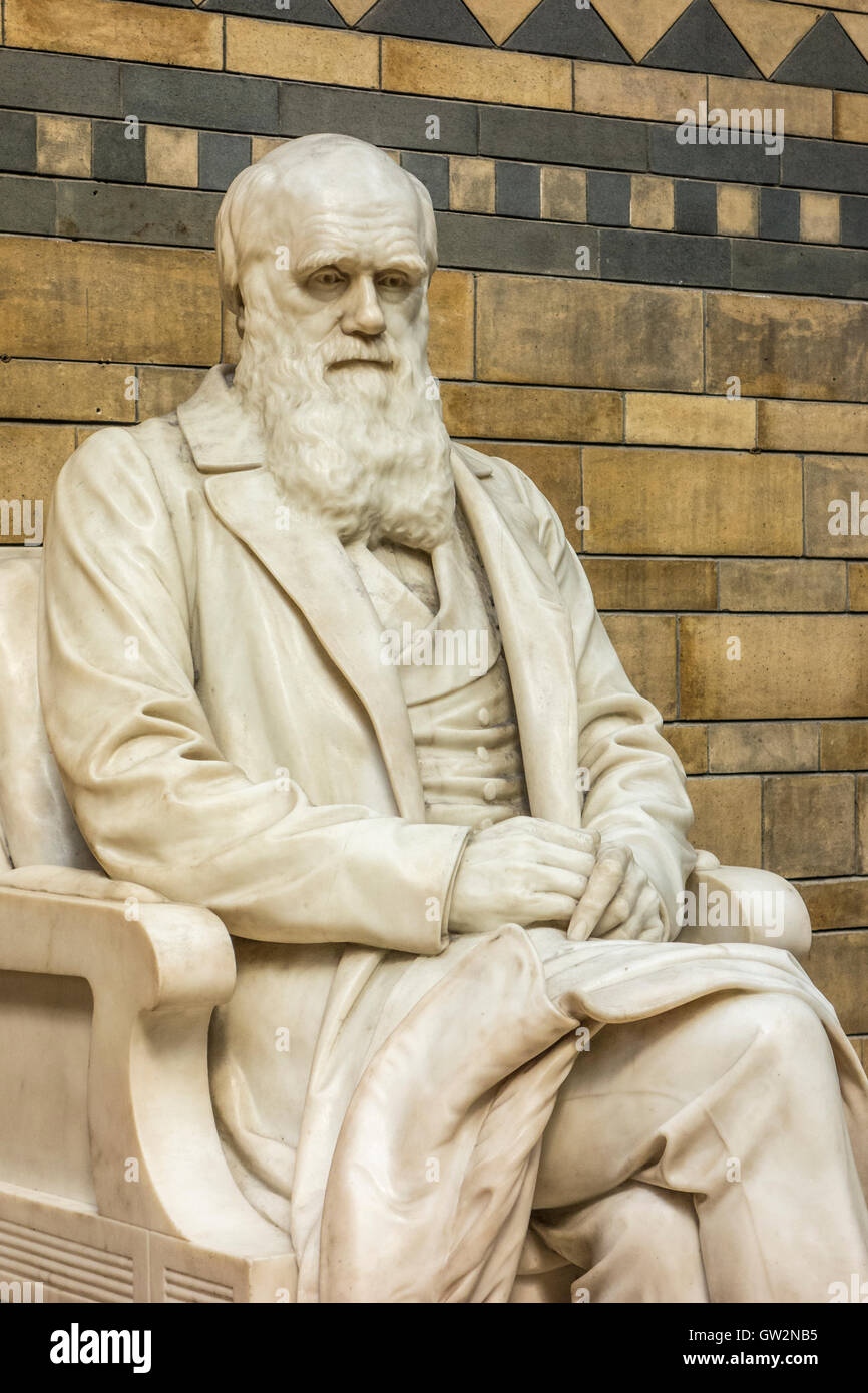 Statua di Charles Darwin, Museo di Storia Naturale di Londra Foto Stock