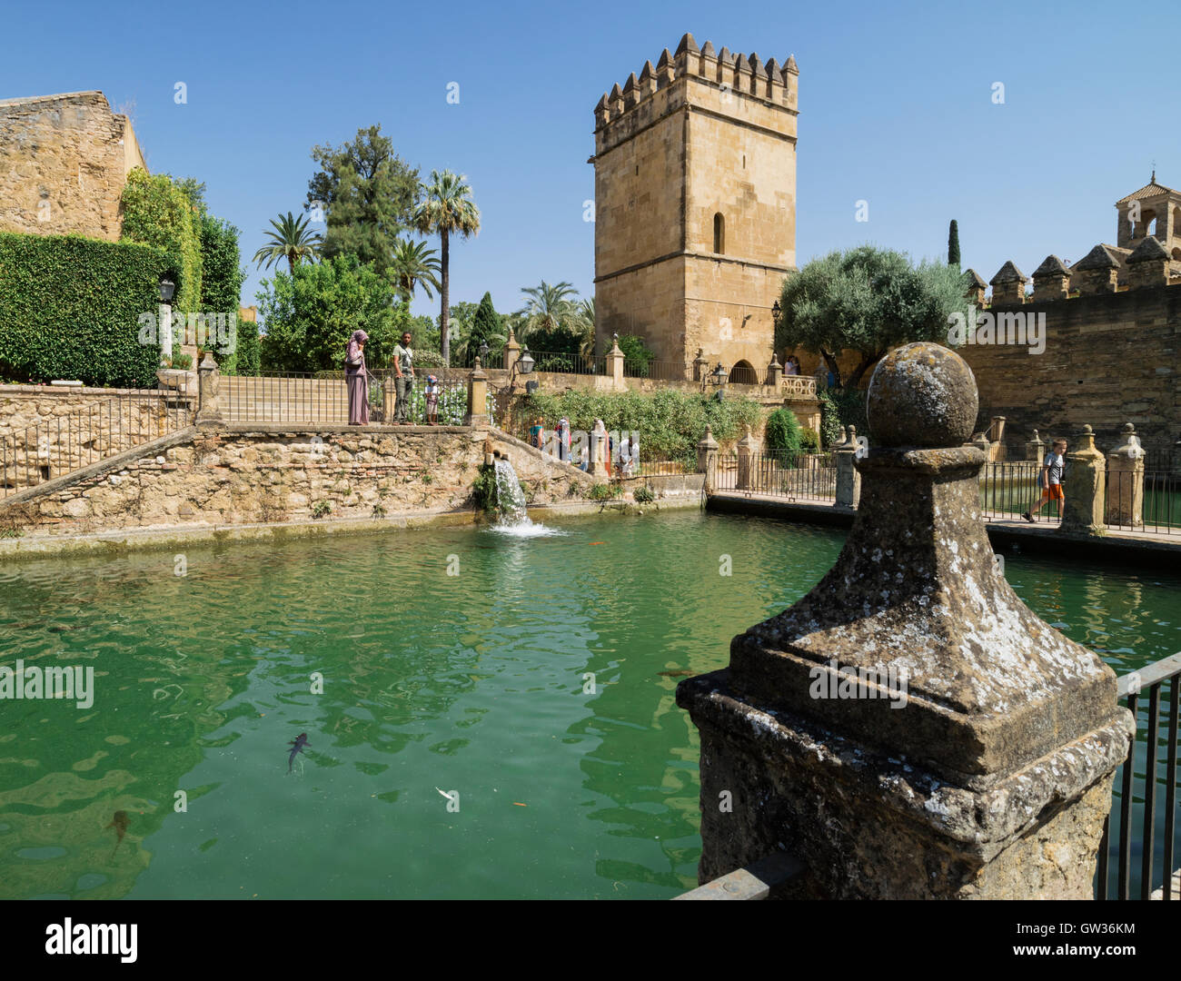 Cordoba, in provincia di Cordoba, Andalusia, Spagna meridionale. Il laghetto nei giardini dell'Alcazar dei Re Cristiani. Foto Stock