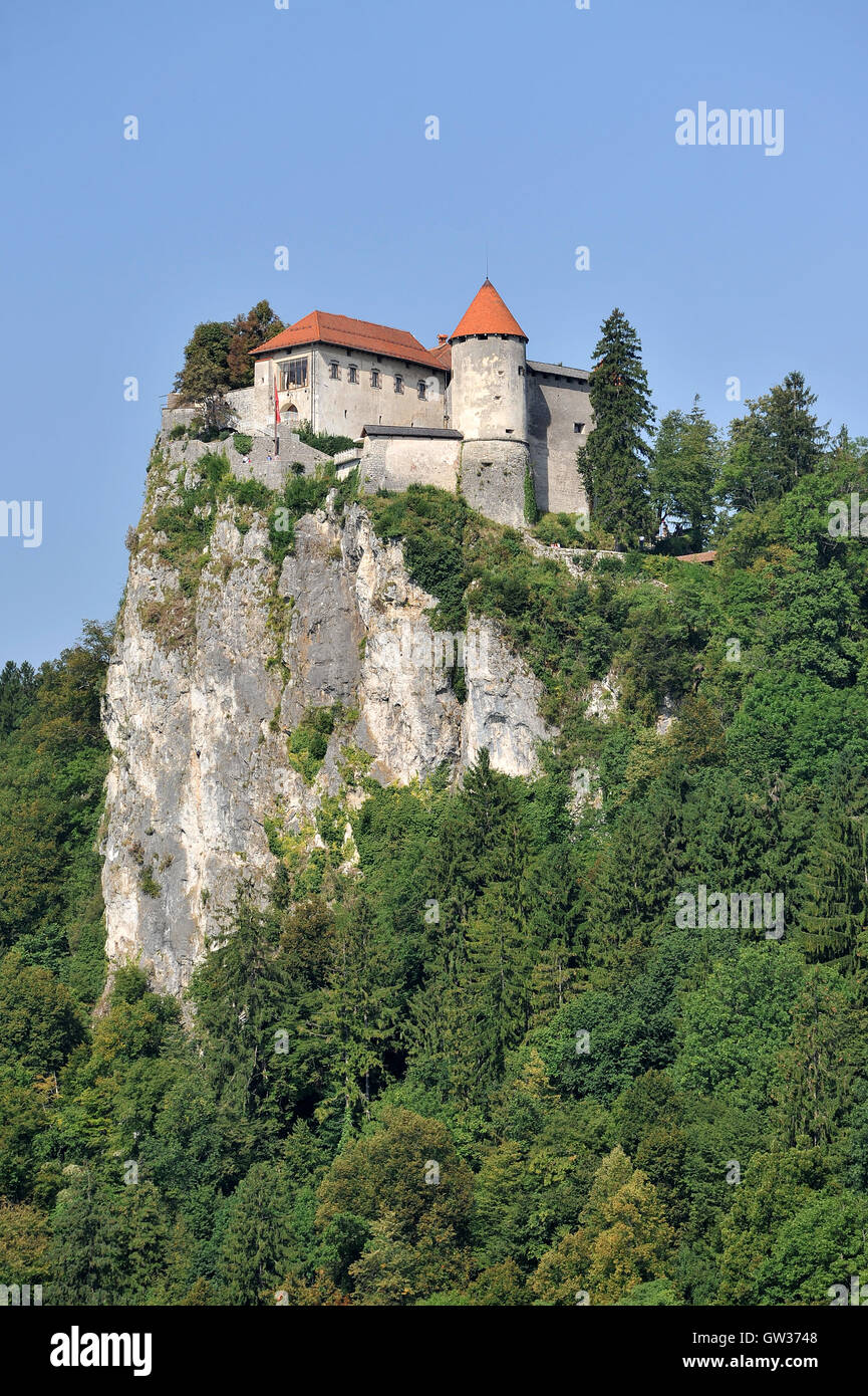 Il castello di Bled, Slovenia Foto Stock