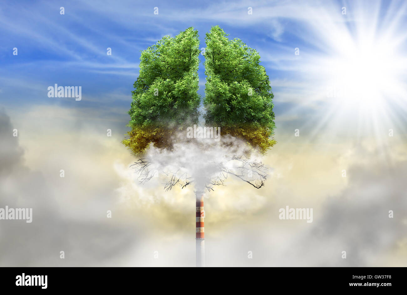 Albero in una forma di polmoni con camino al posto di trunk, eco concetto, inquinamento Foto Stock
