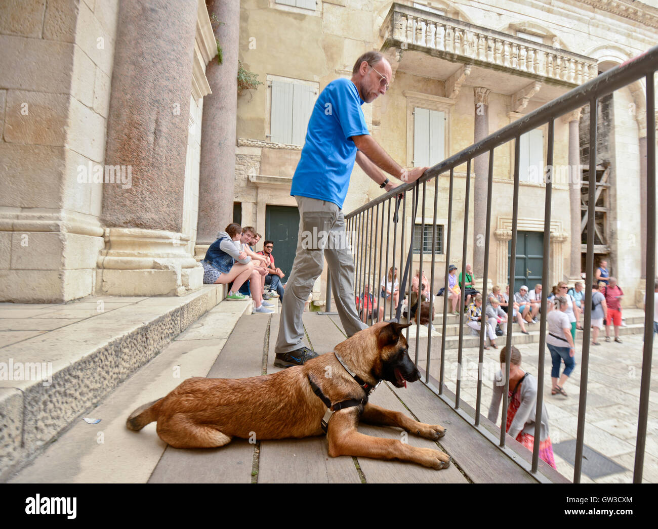 Razza cane guarda la strada di un balcone. Split, Croazia Foto Stock