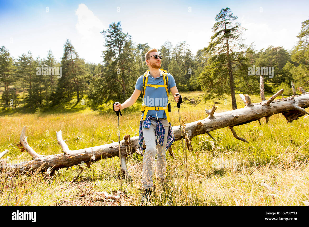 Caucasica modello maschio con zaino escursionismo sulla giornata di sole Foto Stock