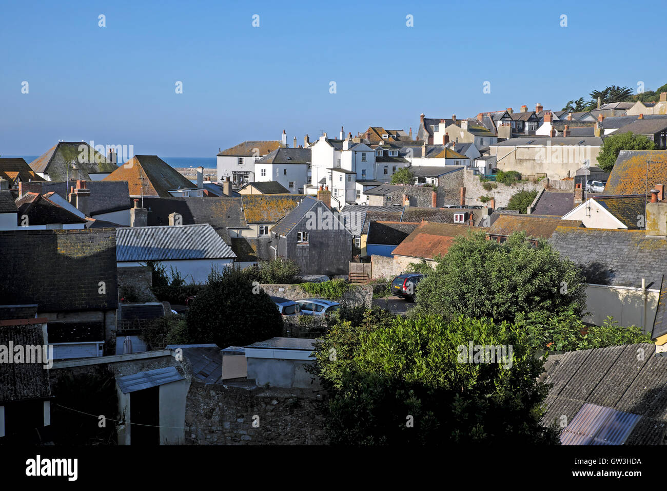 Una vista sui tetti di Lyme Regis case guardando Verso il mare e Cobb in Dorset con copyspace blu Cielo in Inghilterra Regno Unito KATHY DEWITT Foto Stock