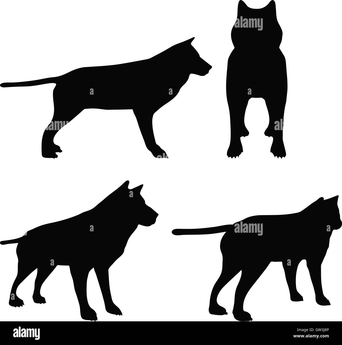 EPS 10 illustrazione vettoriale di animale wolf silhouette Illustrazione Vettoriale