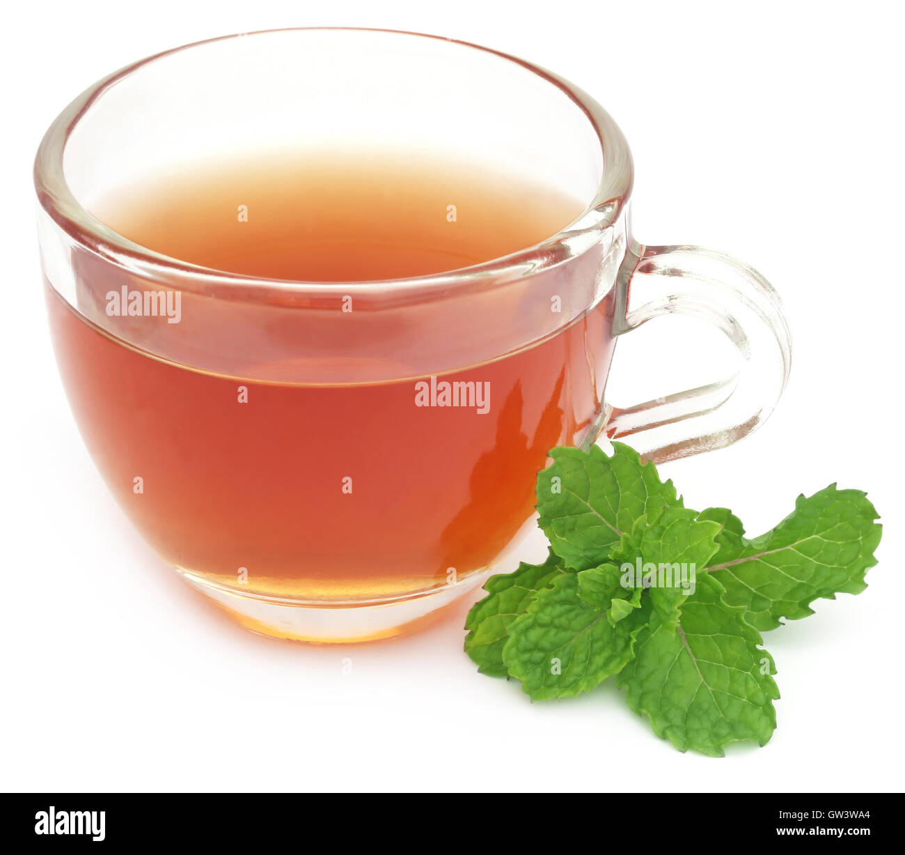 Il tè alle erbe in una tazza di foglie di menta su sfondo bianco Foto Stock