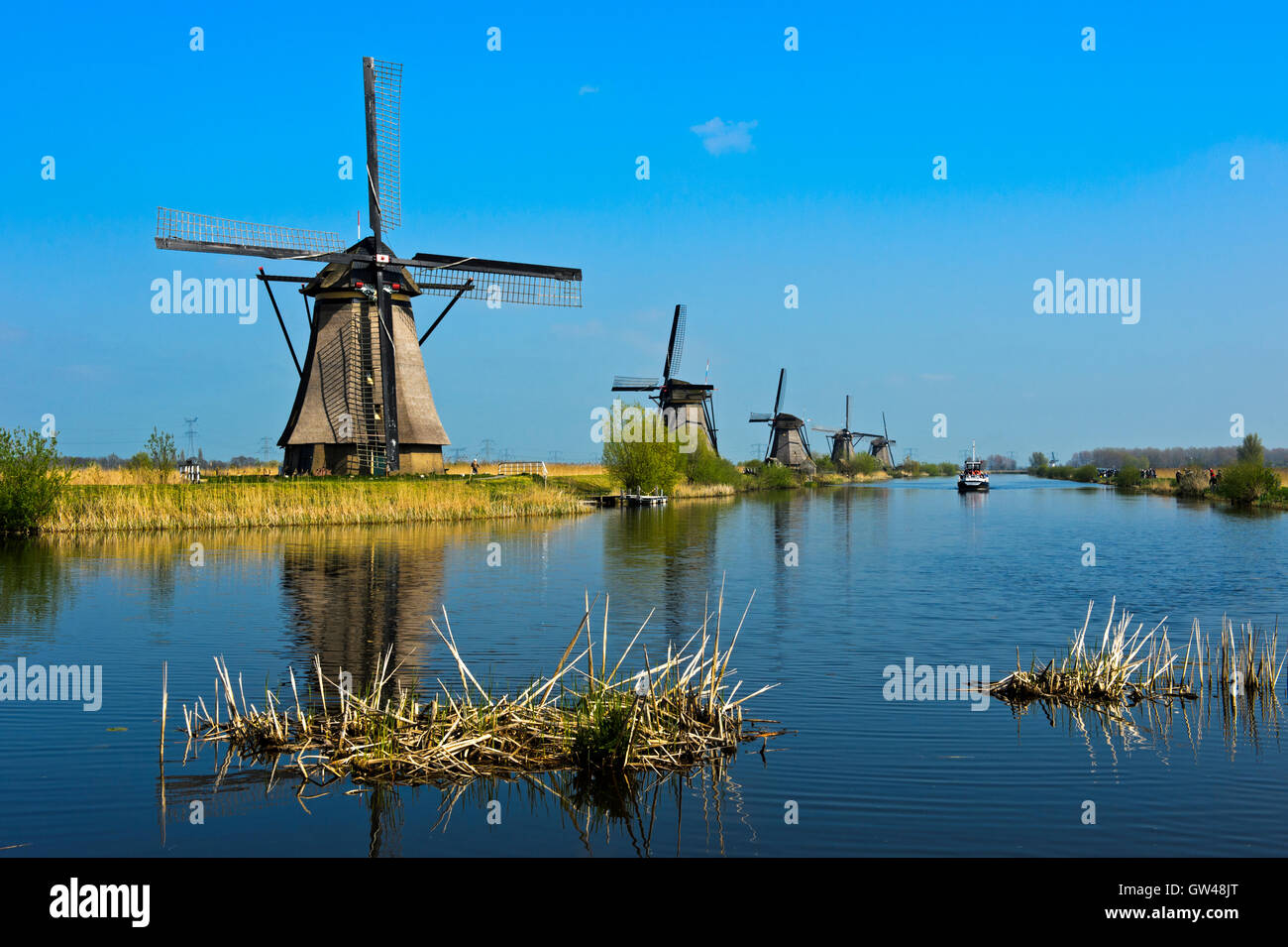 Mulino a vento olandese al canale, Kinderdijk, Alblasserwaard polder, South Holland, Paesi Bassi Foto Stock
