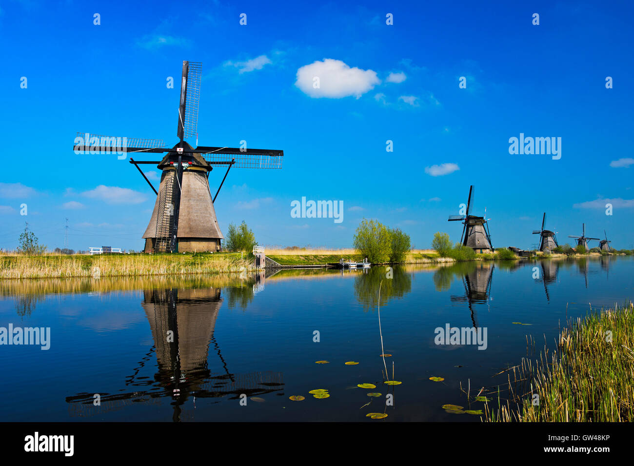 Mulino a vento olandese al canale, Kinderdijk, Alblasserwaard polder, South Holland, Paesi Bassi Foto Stock