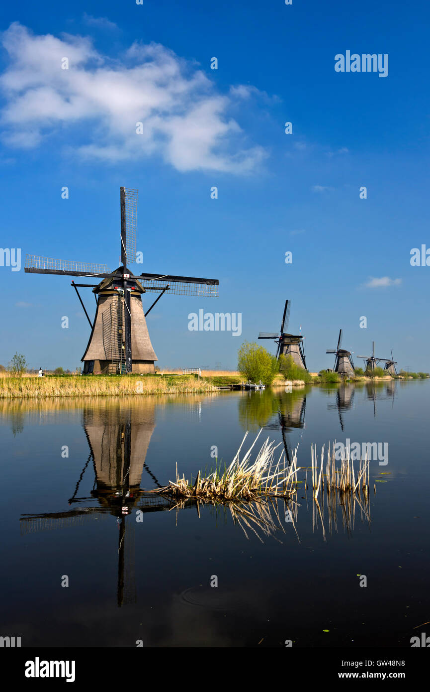 Mulini a vento olandese al canale, Kinderdijk, Alblasserwaard polder, South Holland, Paesi Bassi Foto Stock