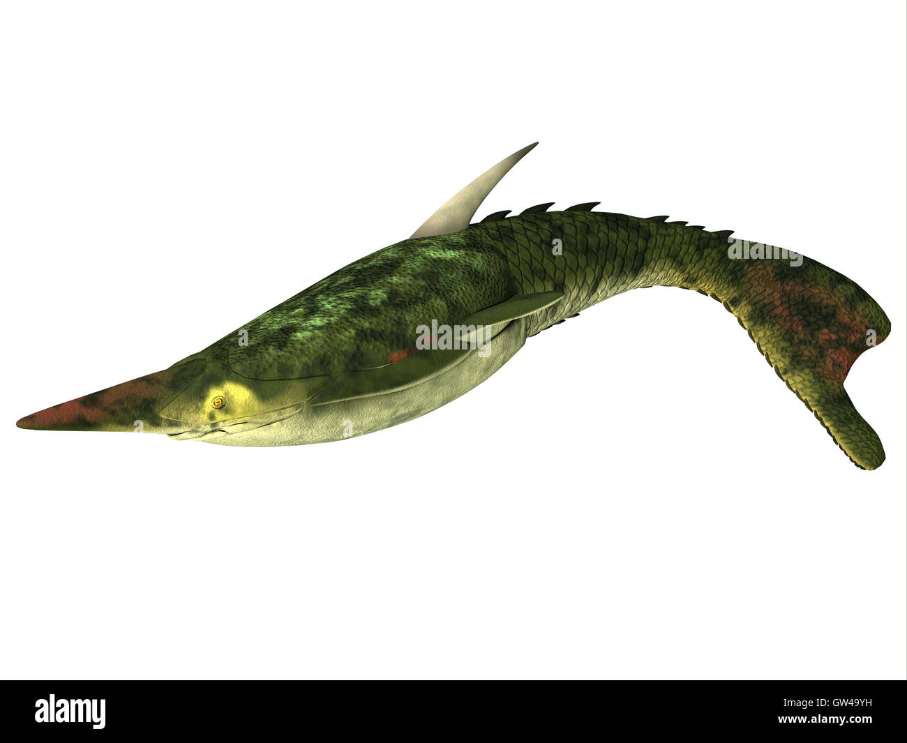 Pesce Pteraspis su bianco Foto Stock