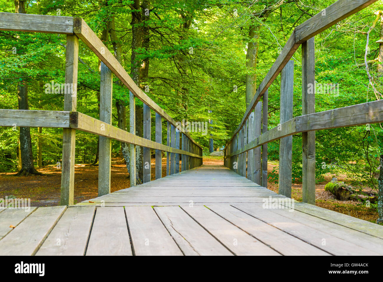 Legno rampe per sedie a rotelle o il percorso in Soderasen parco nazionale in Svezia. Foto Stock