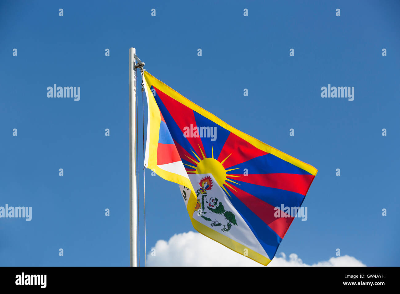 Bandiera nazionale del Tibet su un pennone di fronte blu cielo Foto Stock