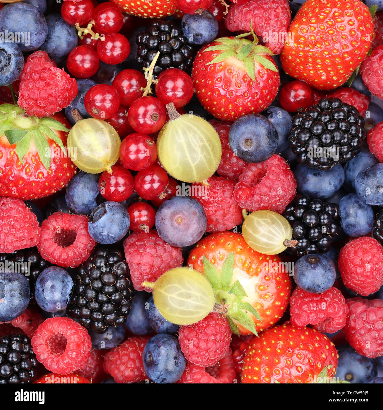 Bacche bacche Frutta raccolta fragole, mirtilli Lamponi Ribes rosso vista superiore Foto Stock