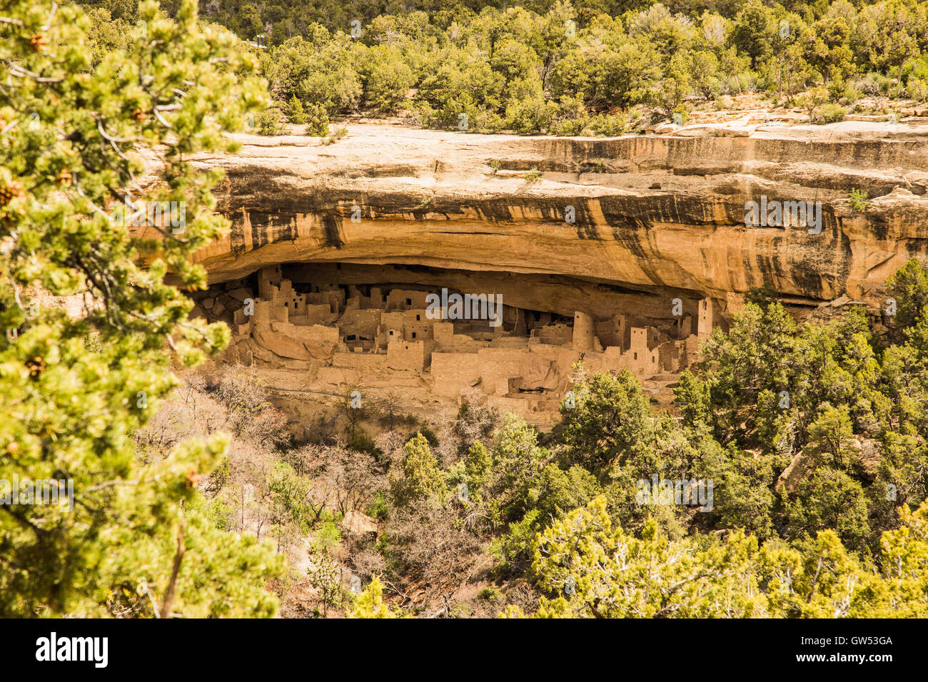 Il Parco Nazionale di Mesa Verde Cliff insediamento USA Foto Stock