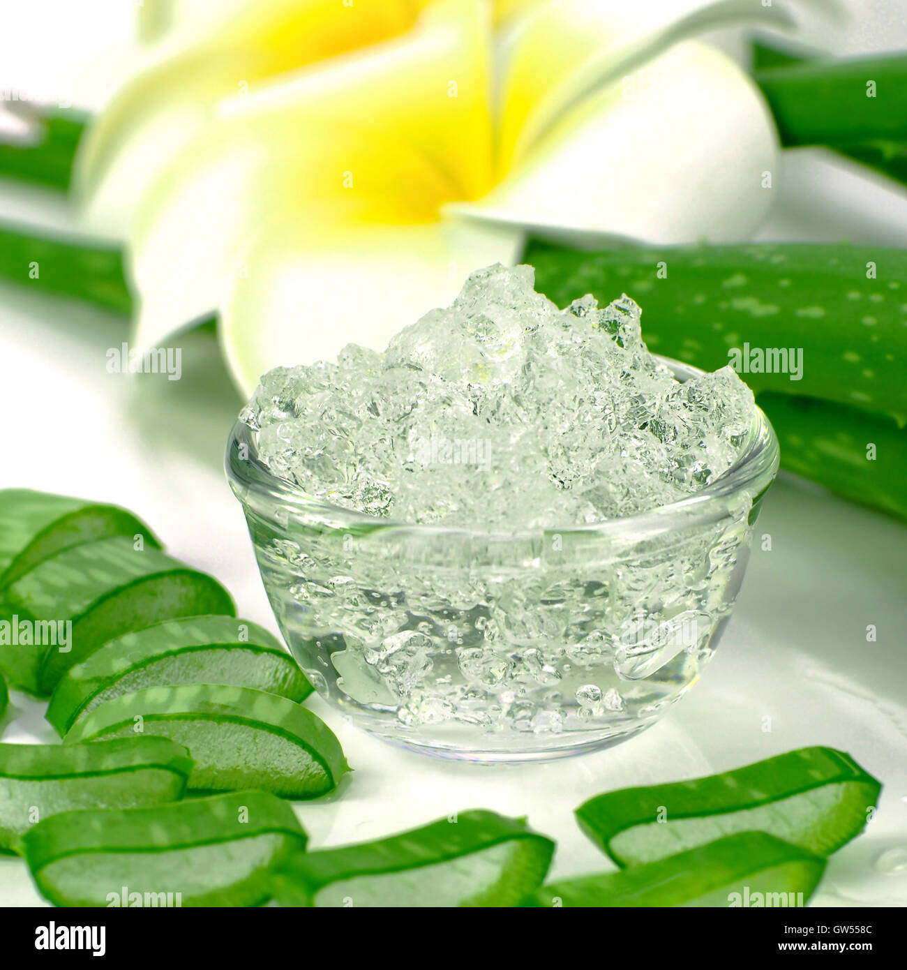 Pura Aloe vera gel su Aloe foglie e plumeria sfondo. Aloe vera gel utilizzare quasi in cibo, medicina e industria di bellezza. Foto Stock