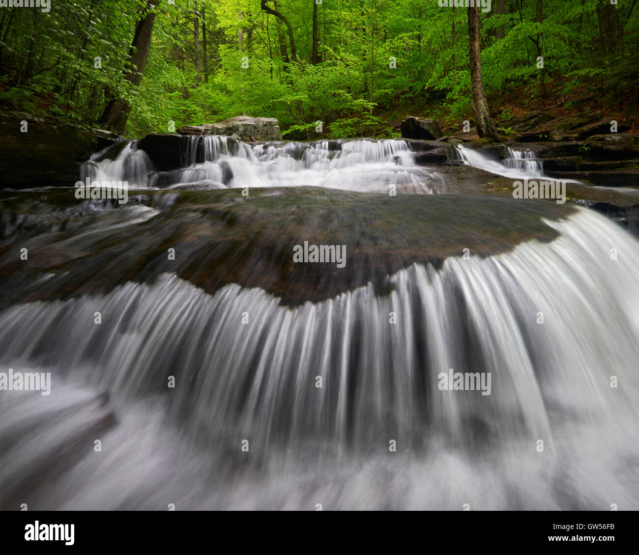 La molla sorgenti di B. Reynolds cade in Glen Leigh sezione di Rickett's Glen State Park in Luzerne County, Pennsylvania Foto Stock