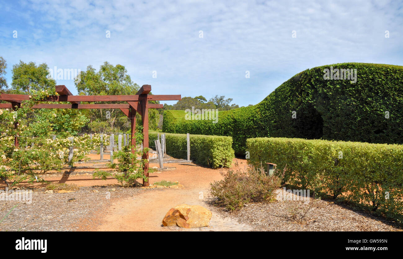 Arbor e labirinto di siepi entrata a stupire'n Margaret River con giardini a Margaret River, Western Australia. Foto Stock
