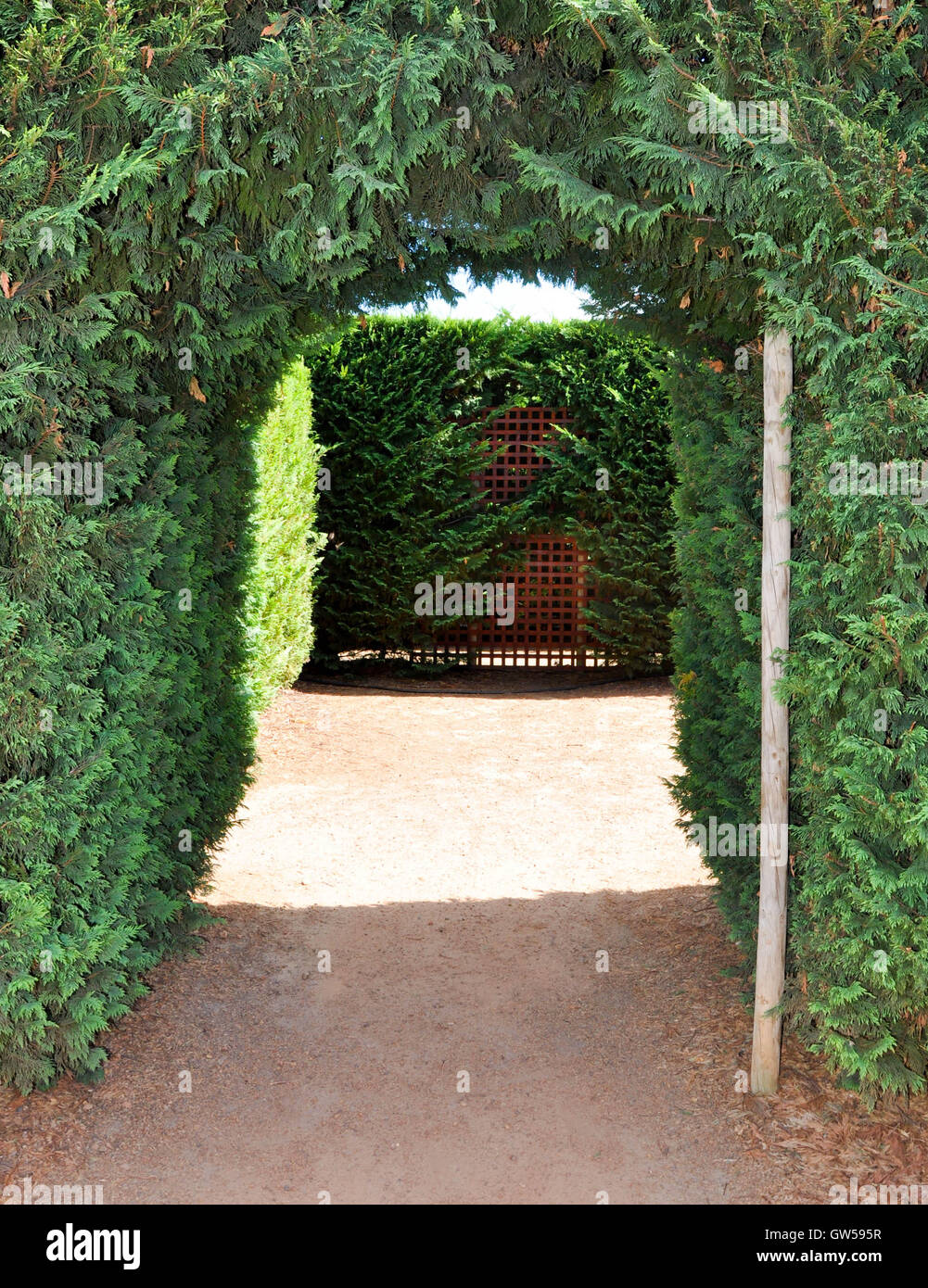 Ingresso alla siepe sempreverde labirinto a stupire'n Margaret River Botanic Garden a Margaret River, Western Australia. Foto Stock