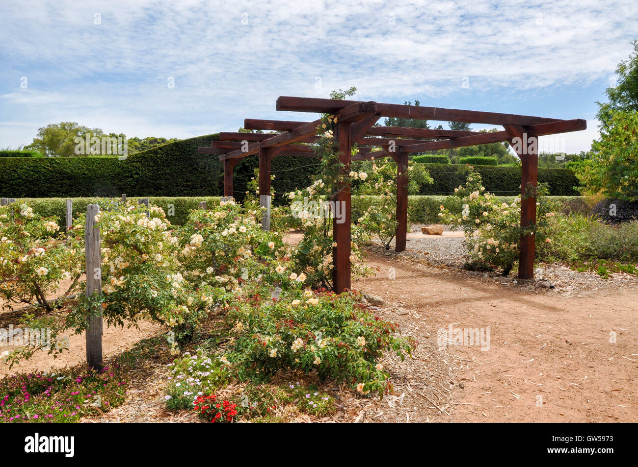 Arbor e labirinto di siepi entrata a stupire'n Margaret River con giardini a Margaret River, Western Australia. Foto Stock