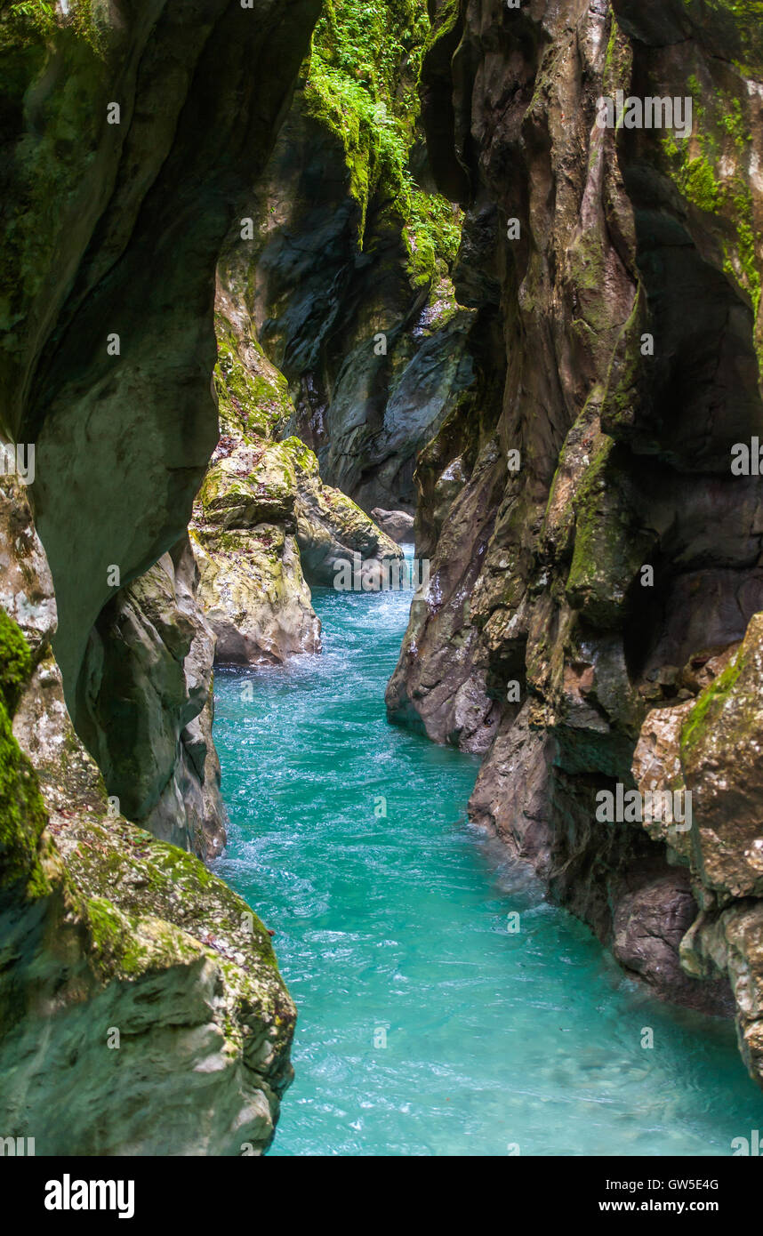 Tolmin gorge, natura, Slovenia Foto Stock