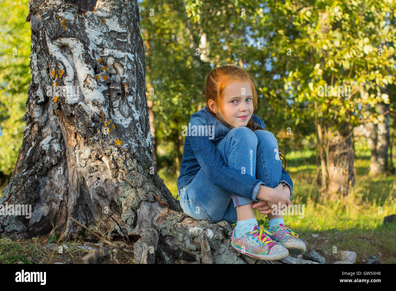 Poco ragazza seduta sulle radici di betulla. Foto Stock