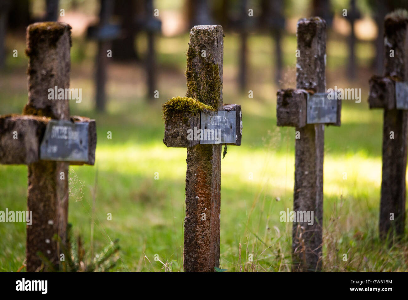 Vecchio Cimitero con calcestruzzo di lapidi in Belgio, appartenenti a un ospedale psichiatrico Foto Stock