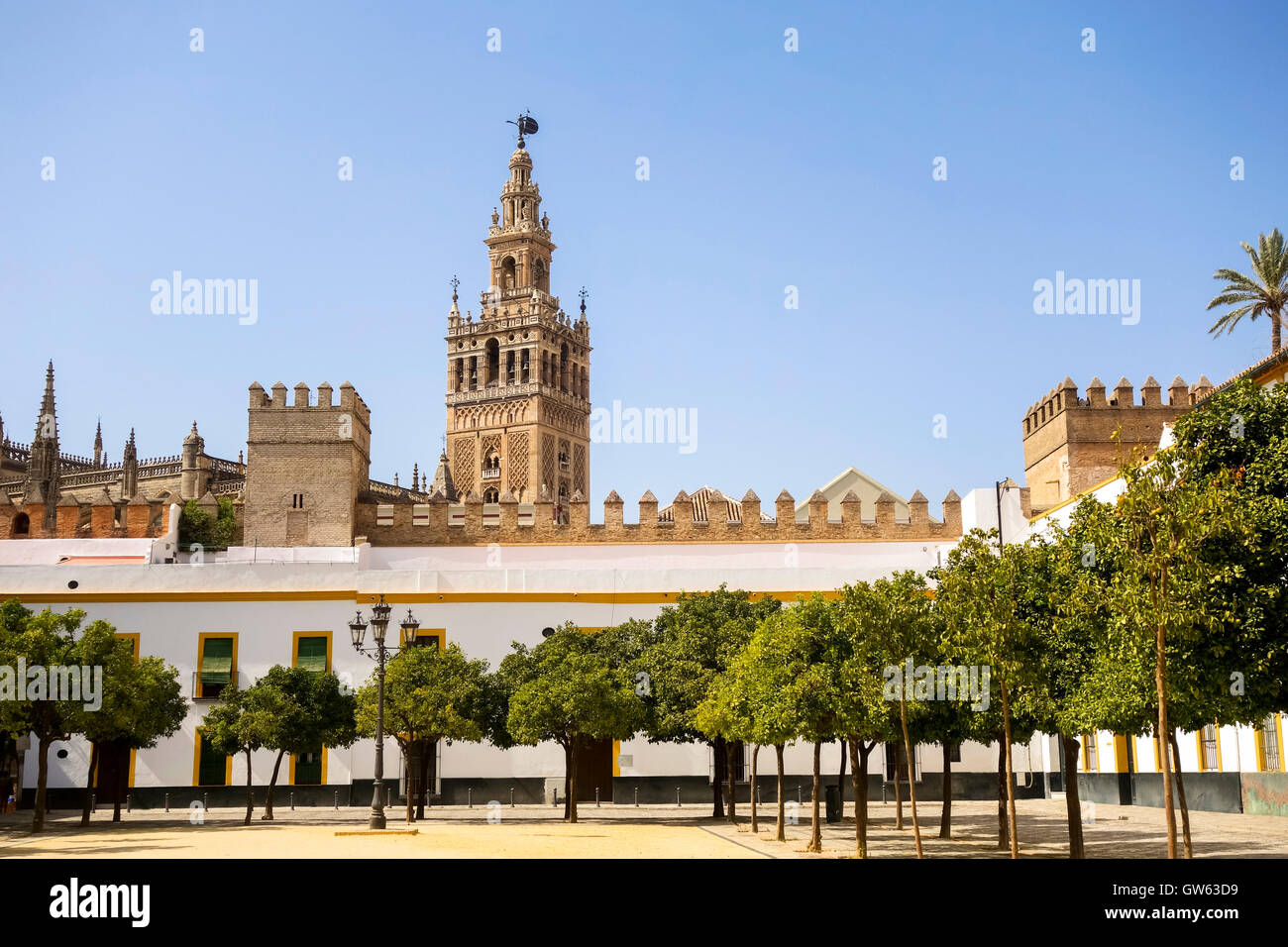 La Giralda campanile della cattedrale di Siviglia, visto da Plaza del Patio de Banderas, Andalusia, Spagna meridionale Foto Stock