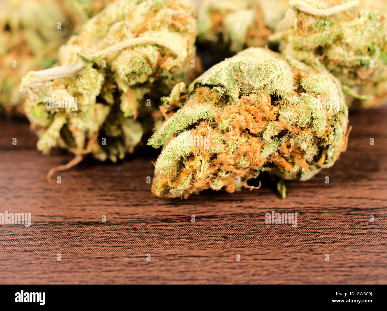 Macro di Skunk Foto Stock