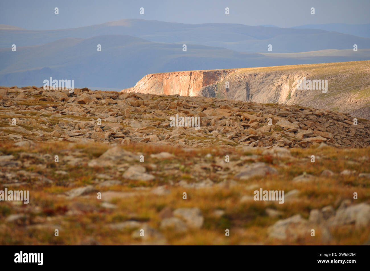 Plateau Sommitale del Khangai montagne, Mongolia Foto Stock