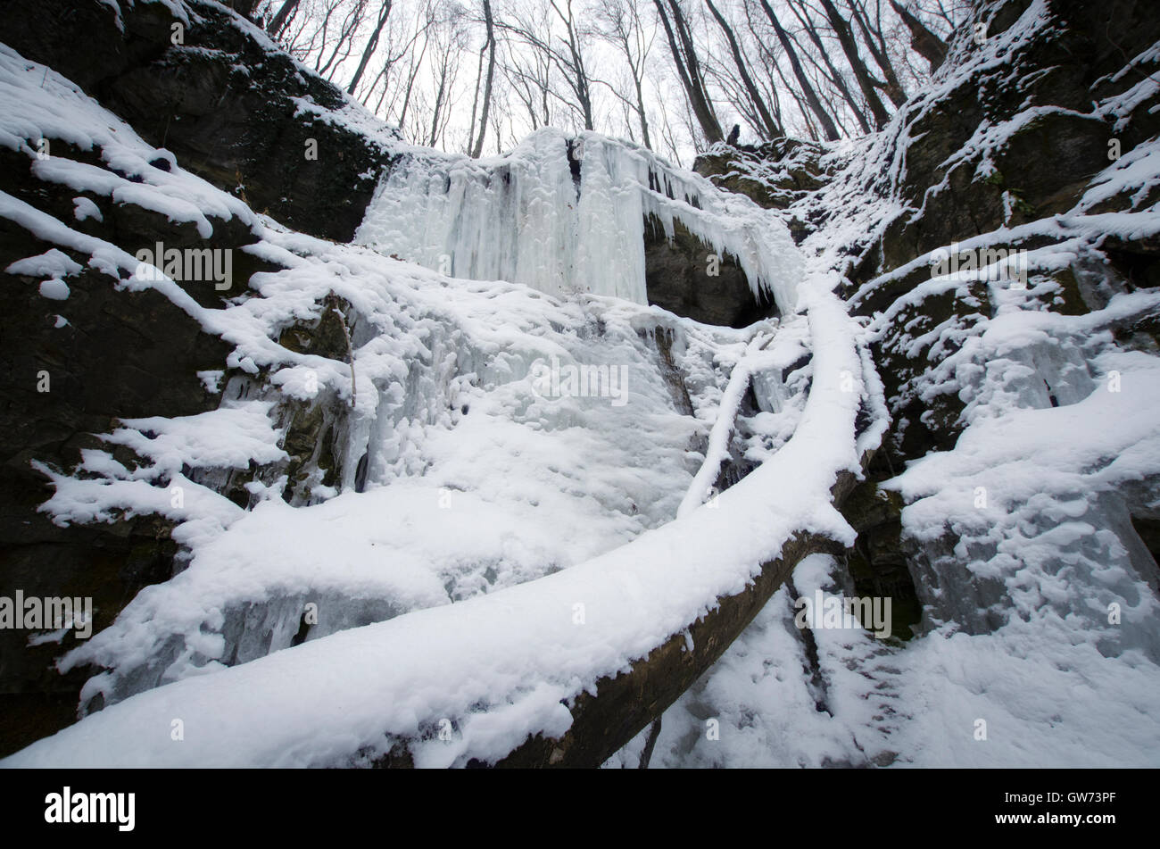 Cascate gelate in foresta paesaggio invernale Foto Stock