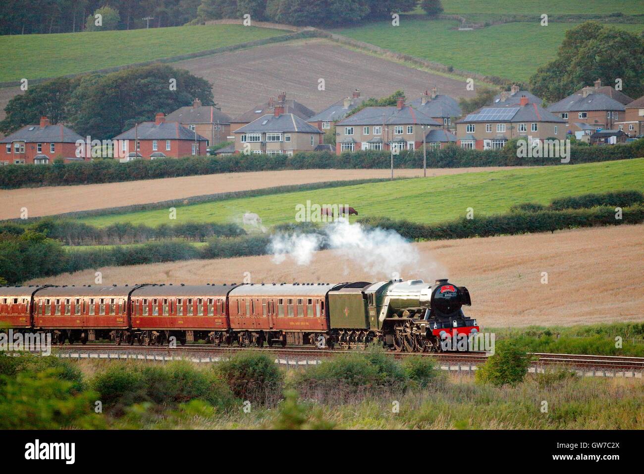 Fourstones, Hexham e Newcastle & Carlisle Railway, Northumberland, Regno Unito. 11 settembre 2016. Flying Scotsman treno a vapore LNER A3 classe 4-6-2 York l'ultima esecuzione di 'L' di Waverley rail tour per quest'anno. Credito: Andrew Findlay/Alamy Live News Foto Stock