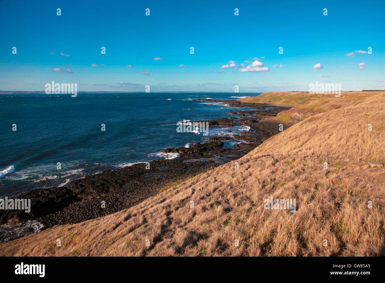 Seashore, Phillip Island, Victoria, Australia Foto Stock