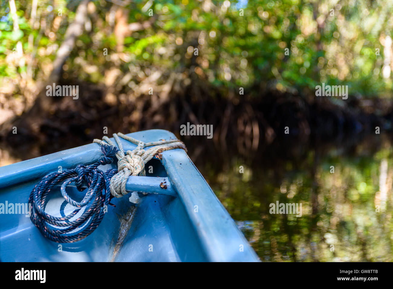 Piccola barca blu nelle mangrovie in Indonesia Foto Stock