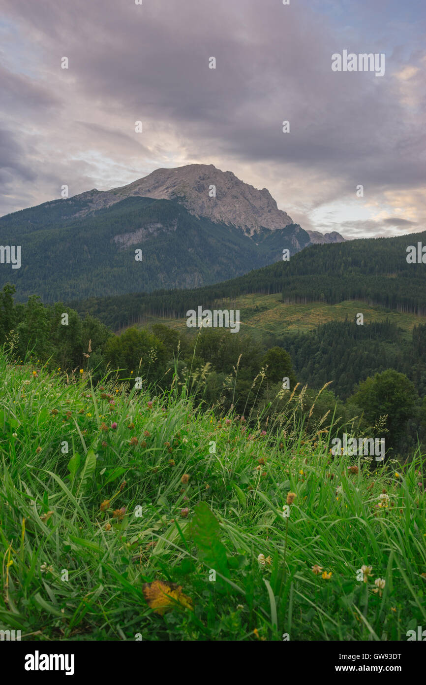 Scenic piste alpine in Germania dalla mattina presto. La prateria, la foresta e la montagna Foto Stock