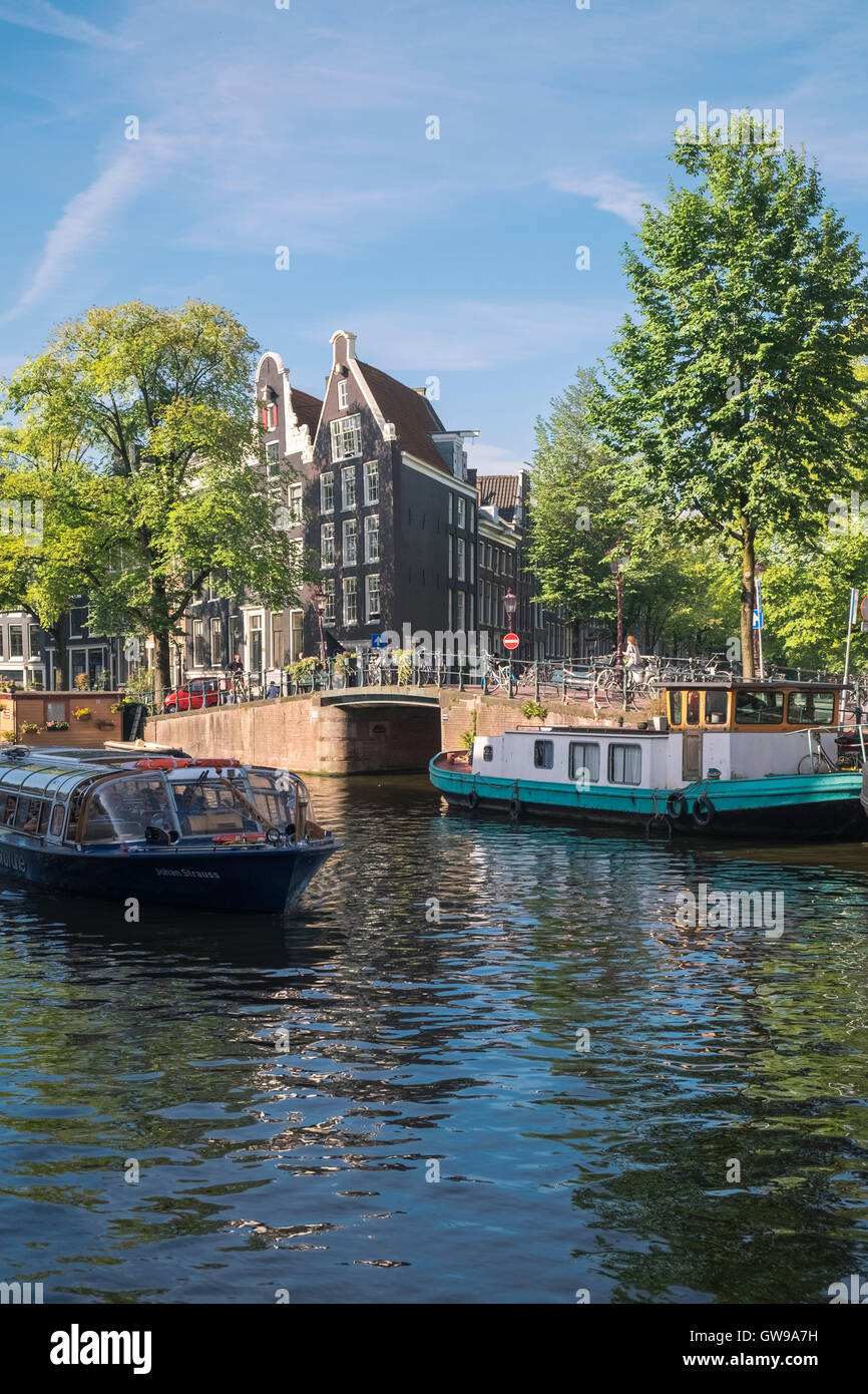 La tradizionale architettura olandese di case sul canale Prinsengracht, quartiere Jordaan, Amsterdam, Paesi Bassi Foto Stock