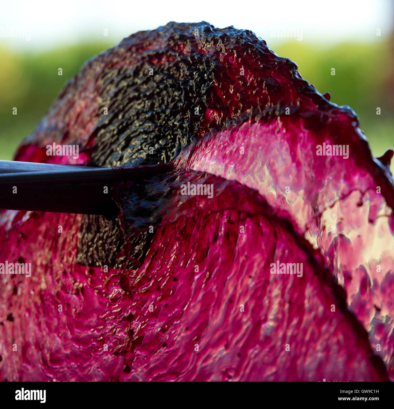 Aerazione del vino durante la vinificazione, Vigna di Bordeaux Foto Stock