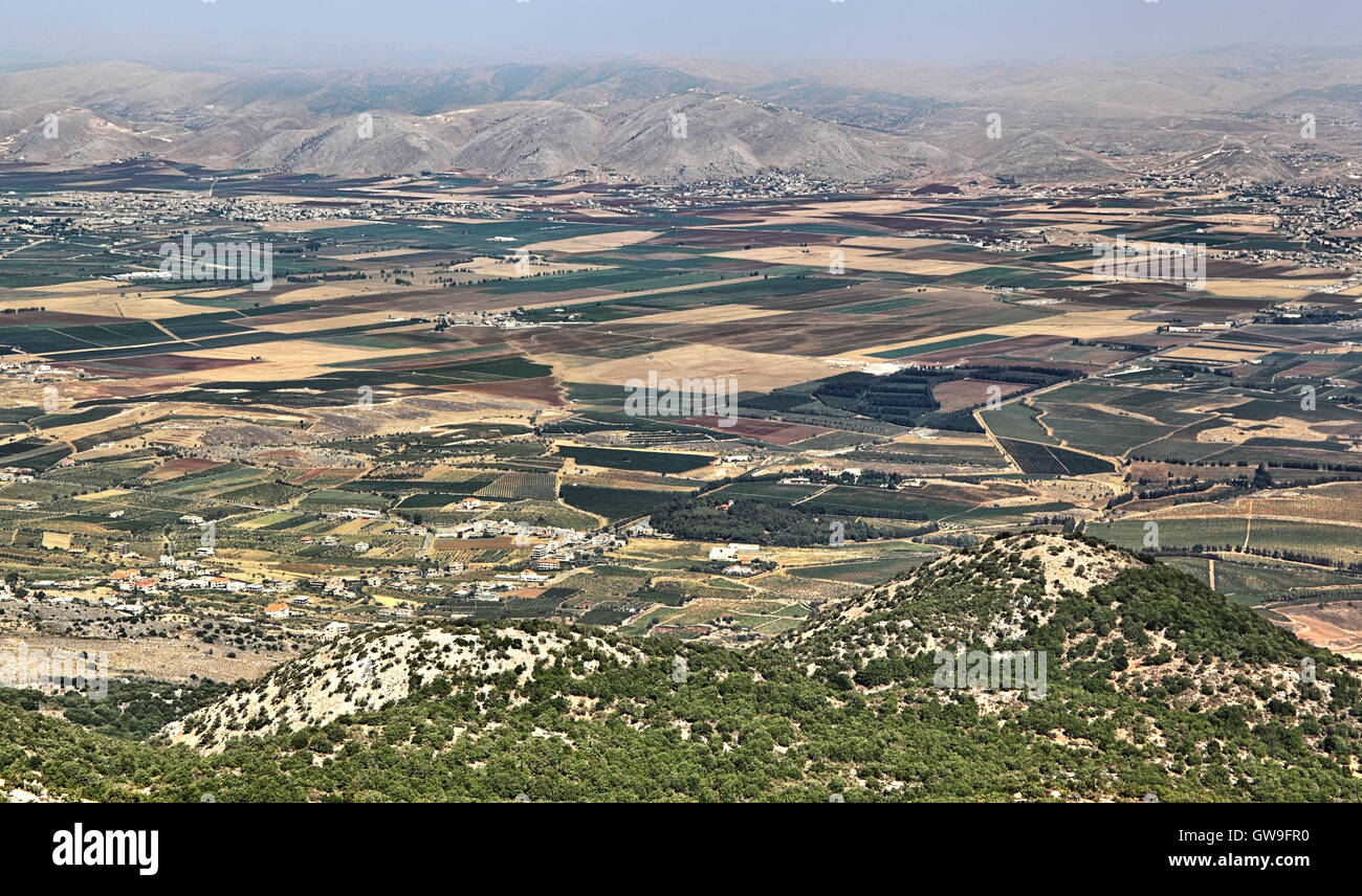 Valle Beqaa, Libano Foto Stock