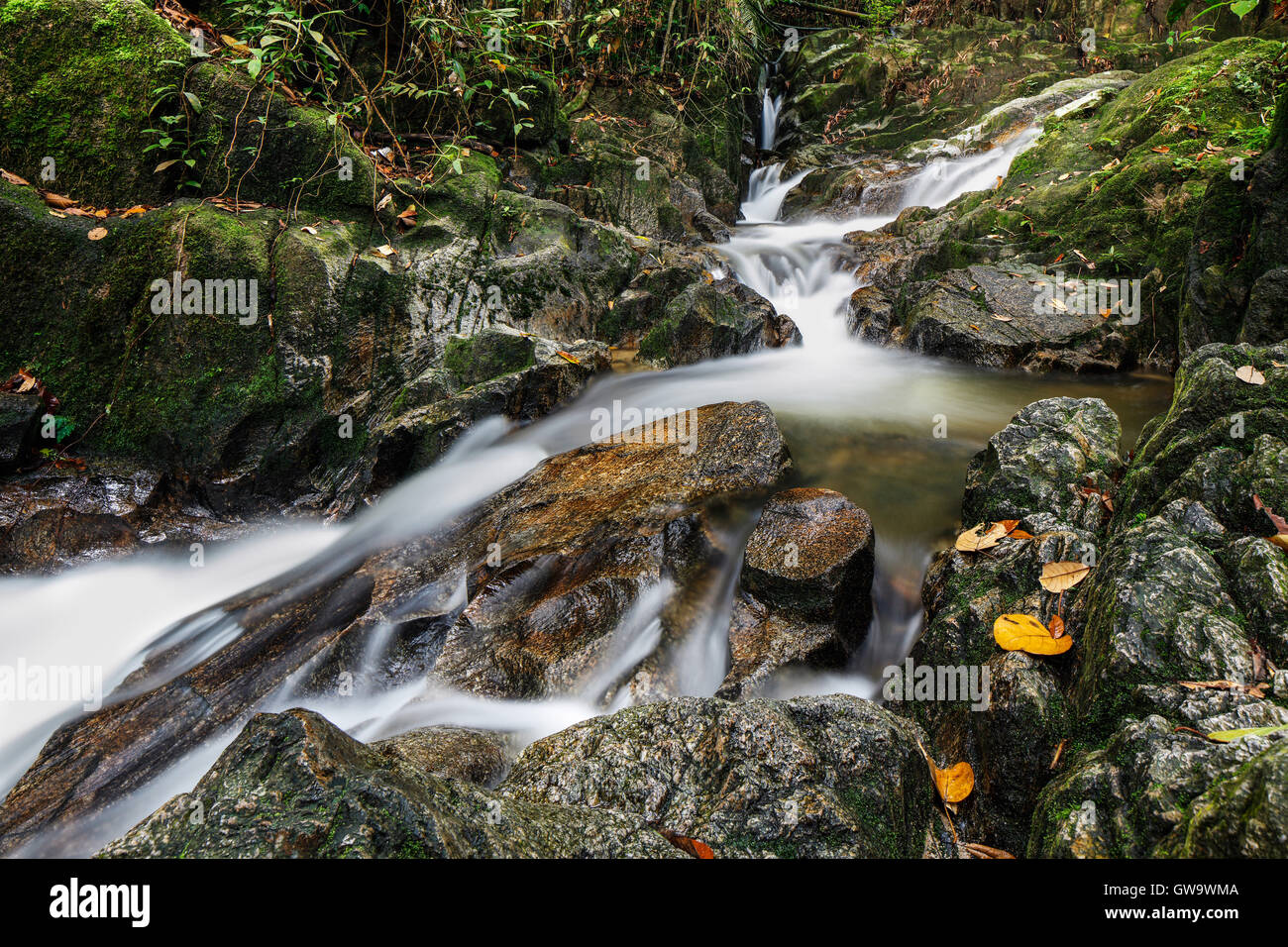 I flussi del Tekala riserva forestale, Semenyih, Malaysia. Foto Stock