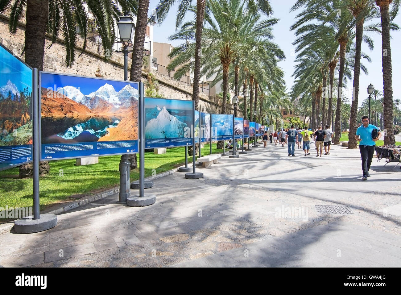 Mountain mostra fotografica sul Paseo Maritimo strade della città su una soleggiata giornata estiva su agosto 29, 2016 in Palma di Mallorca, Spagna. Foto Stock