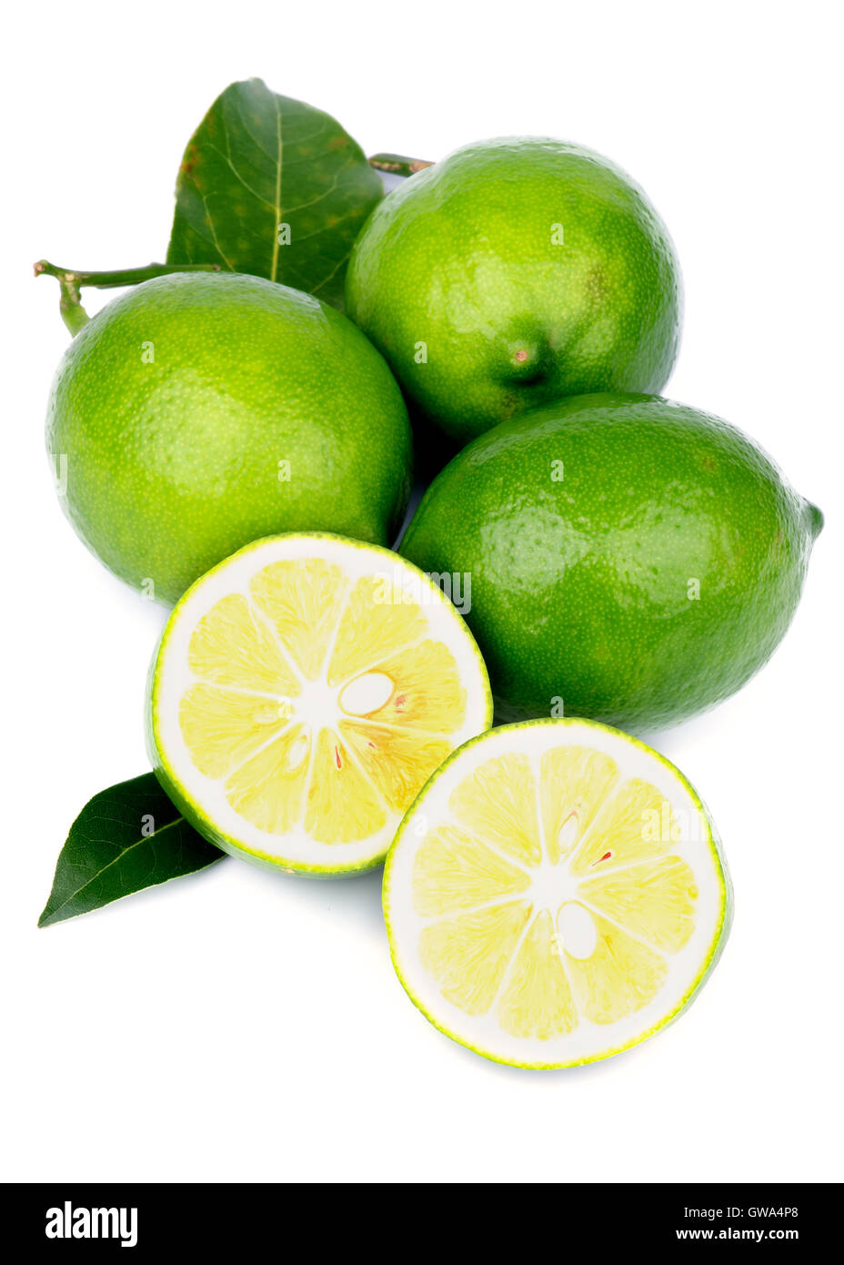 Limoni verdi Foto Stock