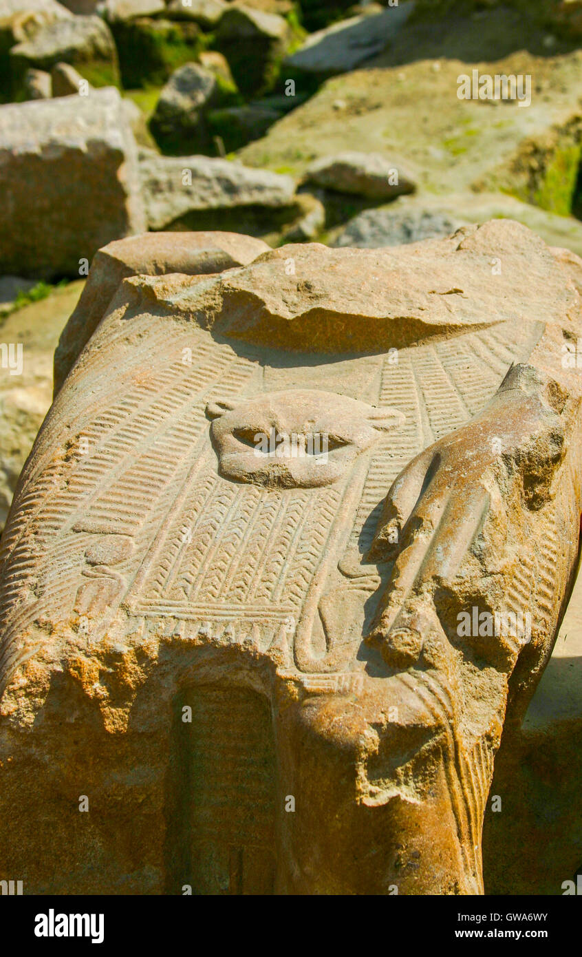L'Egitto, al Cairo, Heliopolis, scavi di Ramses II tempio nella zona chiamata Souk Al Khamis. Dettaglio di una statua di Ramses II. Foto Stock