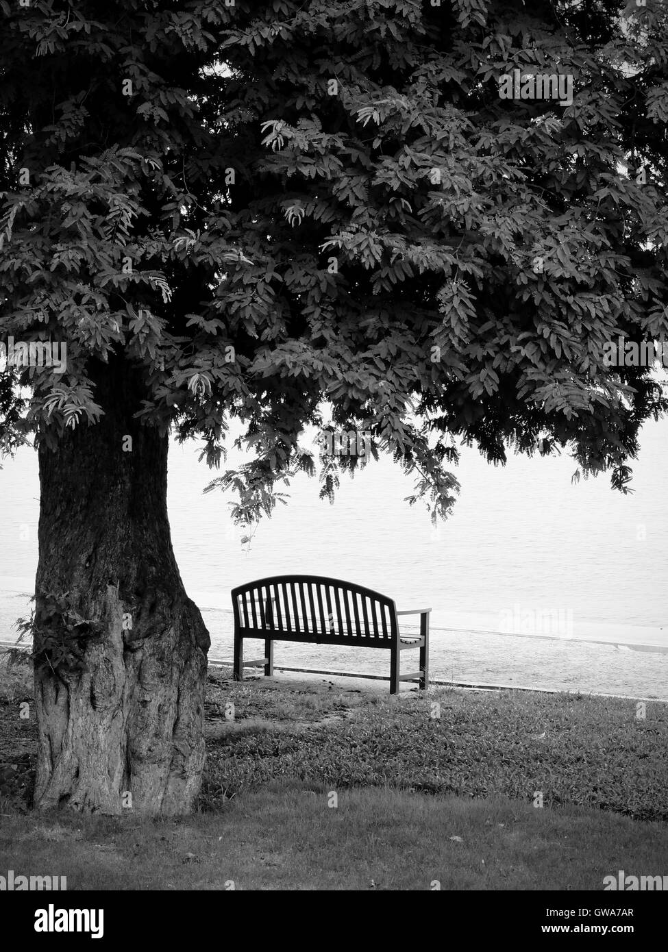 Lonely una panchina nel parco in bianco e nero Foto Stock