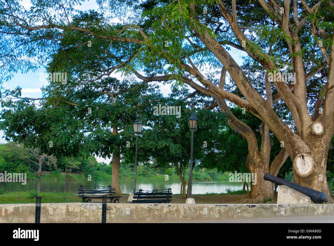 Alberi e cannon sul lungofiume nella città coloniale di Mompox, Colombia Foto Stock