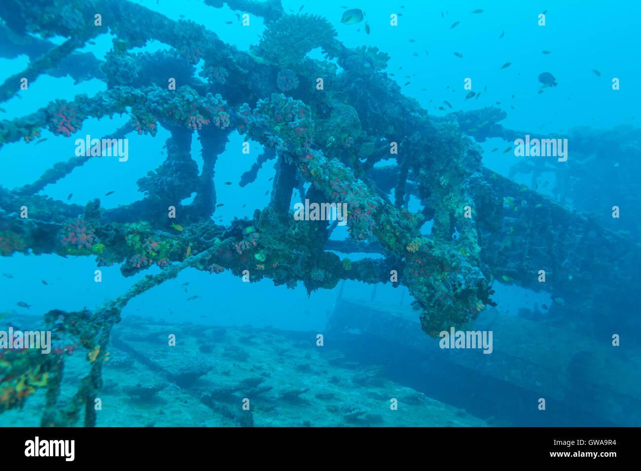 Rimanenti di nave da carico sul fondo dell'oceano, Maldive Foto Stock